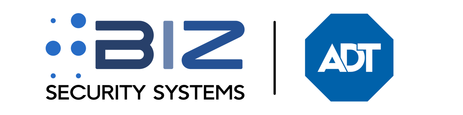 Biz Security Systems
